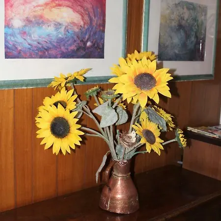 Carlo Cacciami بيت ضيافة Grignasco